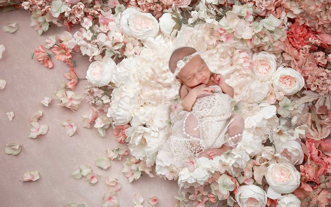 Newborn baby photoshoot, newborn photo shoot, newborn photos, newborn photographer, newborn photo session