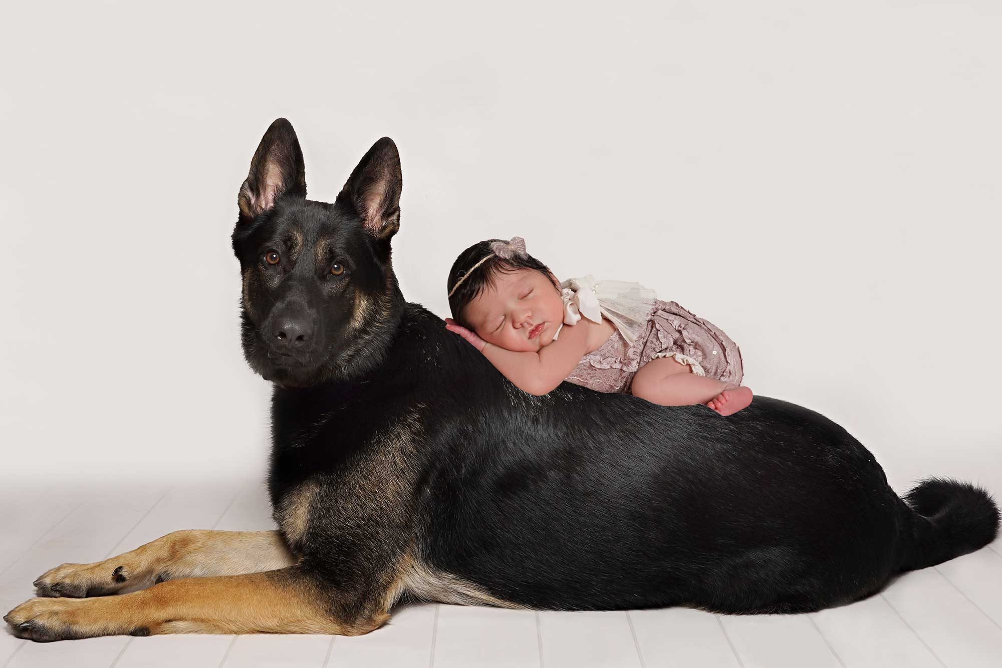 Tiny Violets Photography, Newborn baby photoshoot, newborn photo shoot, newborn photos, newborn photographer, newborn photo session, newborn and dog, newborn and sibling