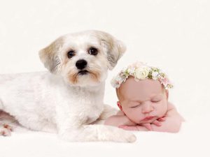 Tiny Violets Photography, Newborn baby photoshoot, newborn photo shoot, newborn photos, newborn photographer, newborn photo session, newborn and siblings, newborn and brothers, newborn and sisters, newborn and family, newborn and dog