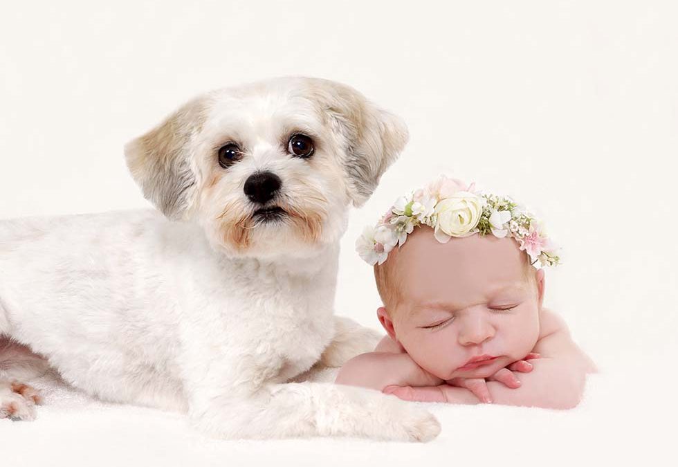 Tiny Violets Photography, Newborn baby photoshoot, newborn photo shoot, newborn photos, newborn photographer, newborn photo session, newborn and siblings, newborn and brothers, newborn and sisters, newborn and family, newborn and dog