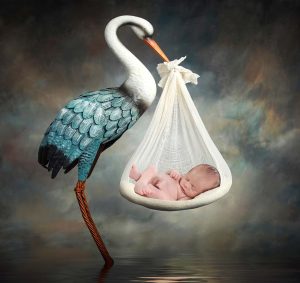 Newborn baby photoshoot, newborn photo shoot, newborn photos, newborn photographer, newborn photo session