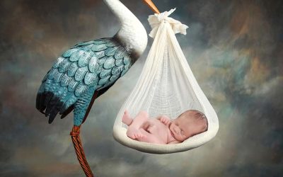 Newborn Photo Shoots