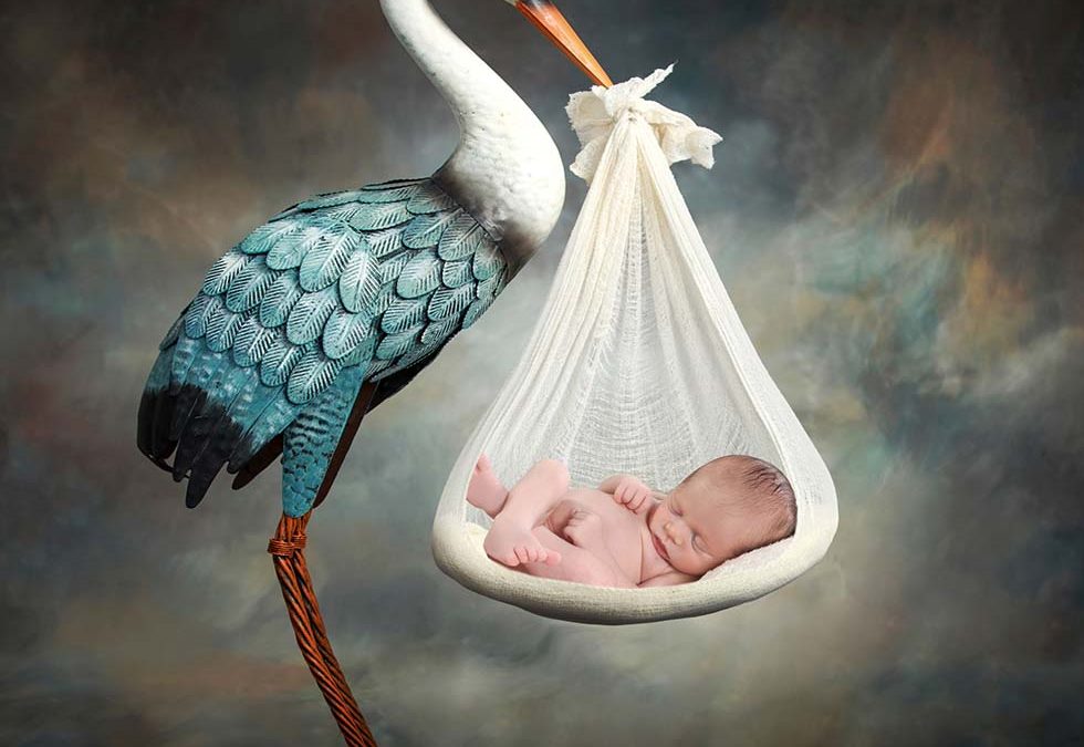 Newborn baby photoshoot, newborn photo shoot, newborn photos, newborn photographer, newborn photo session