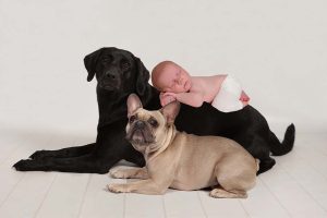 Tiny Violets Photography, Newborn baby photoshoot, newborn photo shoot, newborn photos, newborn photographer, newborn photo session, newborn and dogs