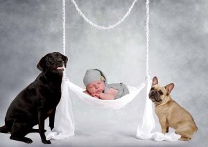 Tiny Violets Photography, Newborn baby photoshoot, newborn photo shoot, newborn photos, newborn photographer, newborn photo session, newborn and dogs