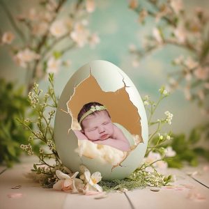 Newborn baby photoshoot, newborn photo shoot, newborn photos, newborn photographer, newborn photo session