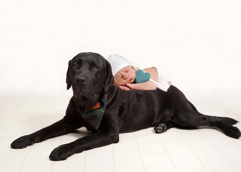 Newborn baby photoshoot, newborn photo shoot, newborn photos, newborn photographer, newborn photo session, shy violet photography, tiny violets photography